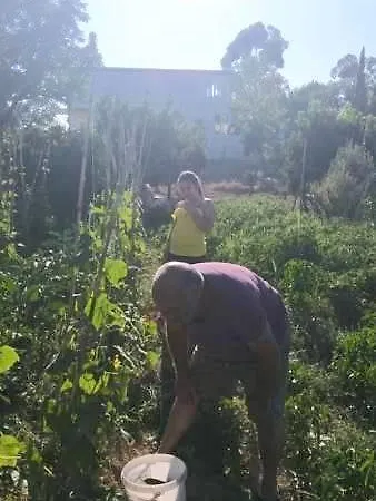 Baba Farm House Antalya