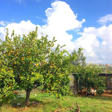 Baba Farm House Εξοχικό σπίτι Αττάλεια