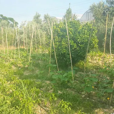 Baba Farm House Country house Antalya